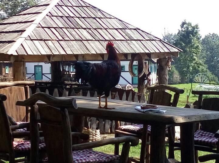 Farm Stay Cardaklije Кулен Вакуф Екстер'єр фото